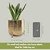 BEHOMA Metal Hammered Planter for Home Decor | Decorative for Indoor ...