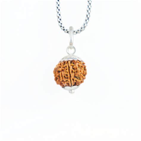 Buy Rudraksha with Silver Chain at Best Price – Prinjal Jewels