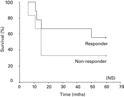 The level of vascular endothelial growth factor as a predictor of a poor prognosis in ...
