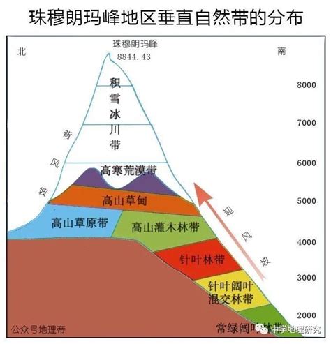 Open SQL File 的图像结果