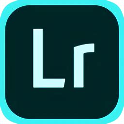 lightroom怎么把照片调得更通透-lr软件调出通透质感的方法教程 - 极光下载站