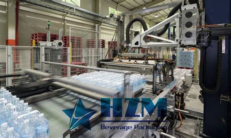 Image result for Automatic Palletizer Machine