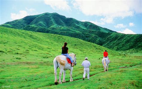 Kumamoto Castle, Aso Crater, and Kamishiromi Kumanoza Shrine Day Tour ...