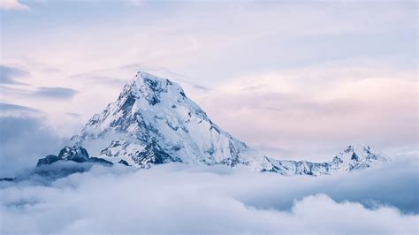 SW272Q│27-inch 2K AdobeRGB 90W USB-C Photographer Monitor | BenQ India