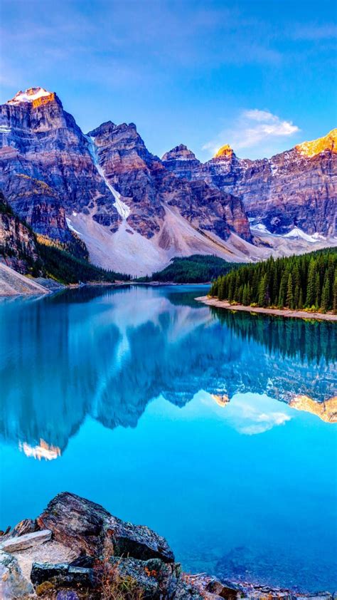 Phone Background 的图像结果