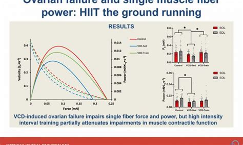 High Intensity Aerobic Exercise 的图像结果