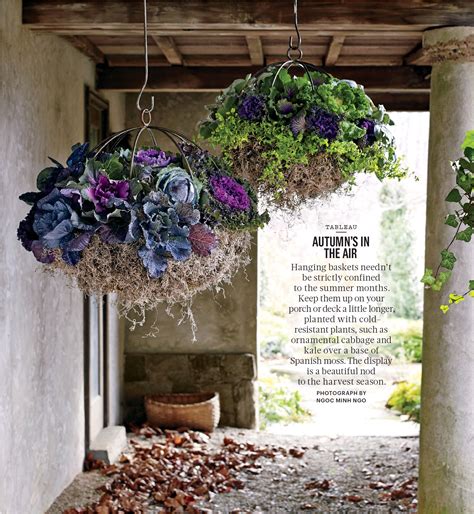 Best Hanging Baskets For Fall at Kate Ogilvy blog