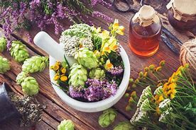 Image result for Herbal
