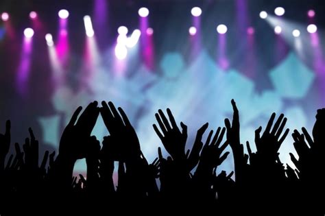 Concert Fans 的图像结果