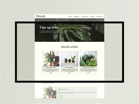 Image result for Picture Project HTML JS CSS and a API