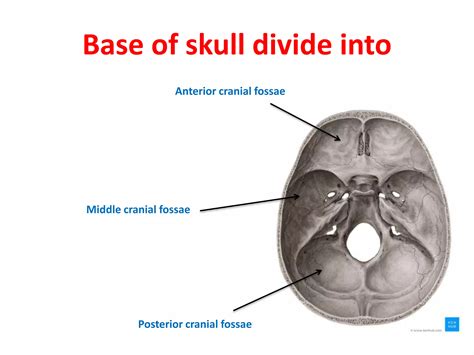 anterior cranial fossa.pptx