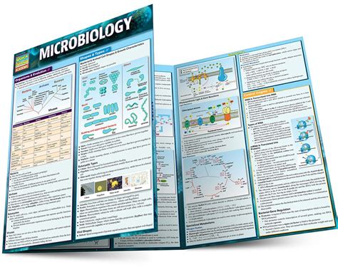 Image result for Microbiology Study Guide