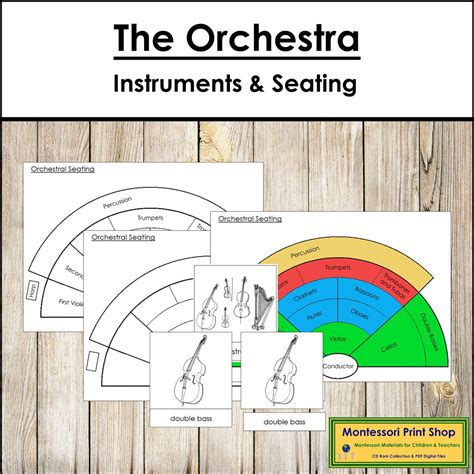 Orchestra Seating Chart