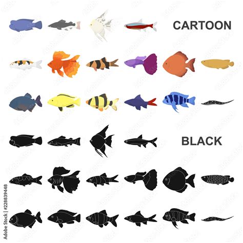 Types 的图像结果