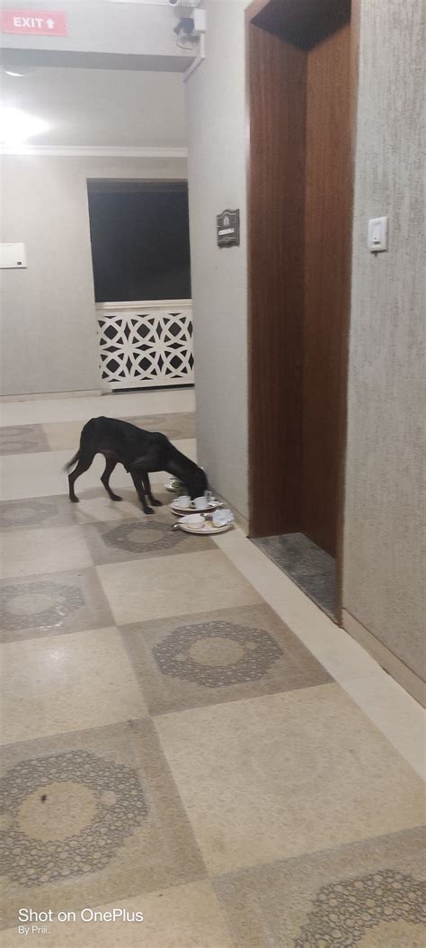 MTDC GRAPE PARK RESORT (Nashik, Maharashtra) - Hotel Reviews, Photos ...