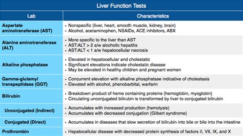 Image result for Normal Liver Function