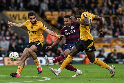 Image result for Wolves Win