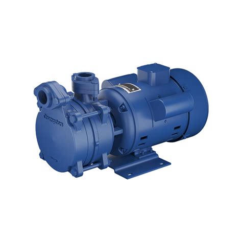 Buy DMB10D PLUS - High Suction Regenerative Pump 1 HP DMB/CMB Online at ...