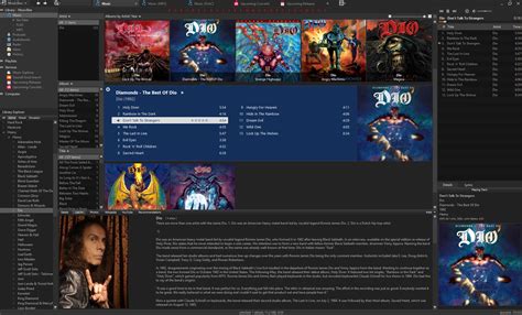 Image result for How to Customize MusicBee Layout