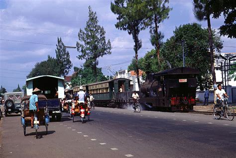 Image result for Java Birai