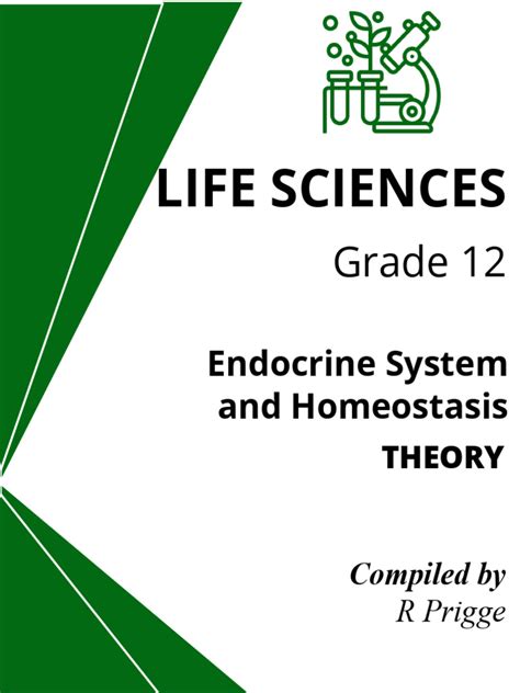 Image result for Endocrine System Grade 12 Lesson