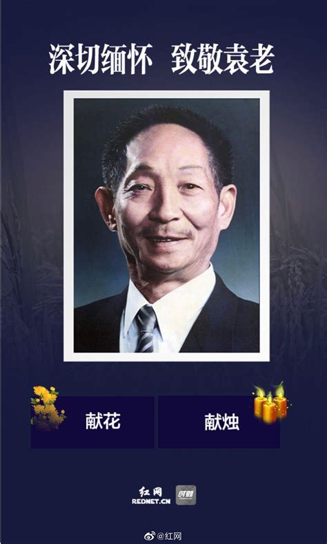 大批群众前往明阳山殡仪馆排长队悼念袁隆平，厅前已成花海_中国政库_澎湃新闻-The Paper