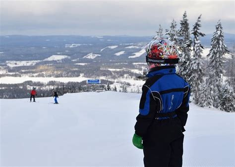 Aventyrsmastarna (Hassela) - All You Need to Know BEFORE You Go