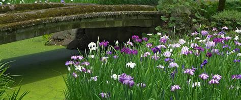 Image result for Template Project Code Programmin