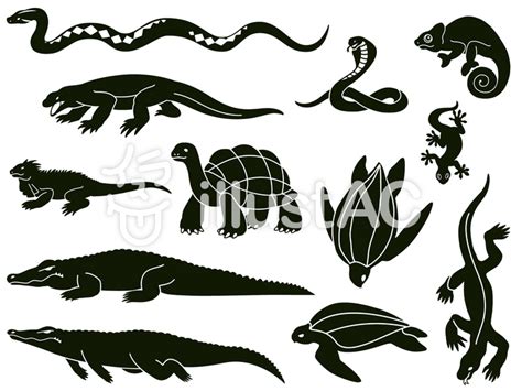 Image result for Read Python