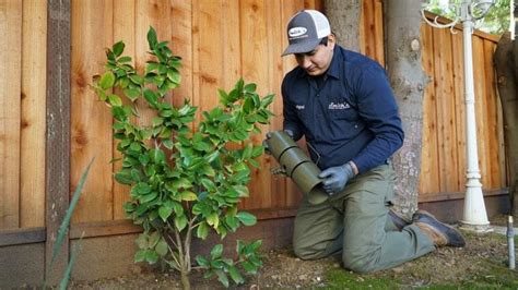 Image result for Sample or Example