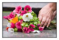 McVay-Perkins Funeral Home • Caldwell, Ohio