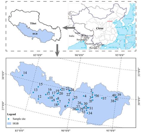 High Variation in Protist Diversity and Community Composition in ...