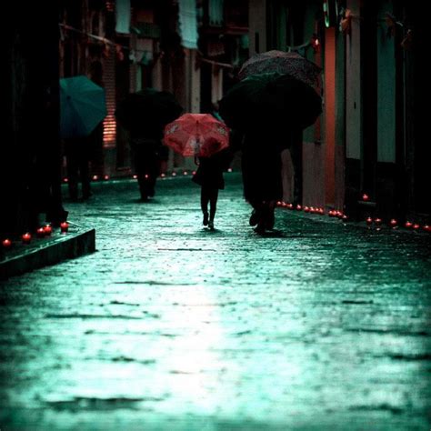 一个下雨天愿意陪你淋雨的人，一个下雨天给你送伞的人，你会选谁 - 每日头条