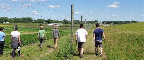 McKnight Foundation accelerates its mission and supports community partners with Microsoft 365 Copil