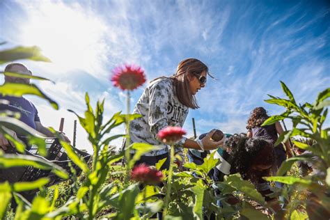 St. Joseph Mercy Health System adds farm to Pontiac hospital