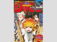 Weekly Shonen Jump #2491   No. 8 February 4, 2019 (Issue)