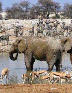 Namibia, Botswana & Zimbabwe