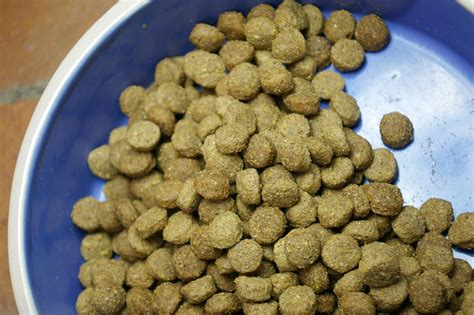 cat food kibble