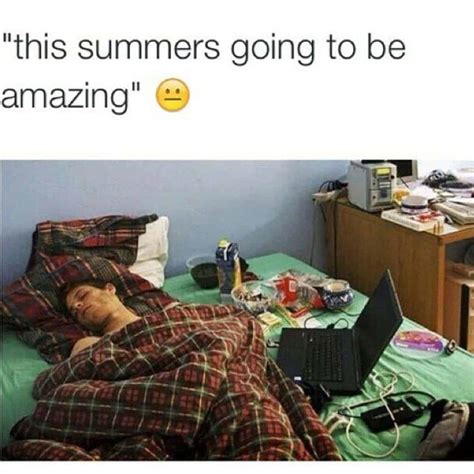 Summer Memes That Perfectly Capture the Season's Vibes