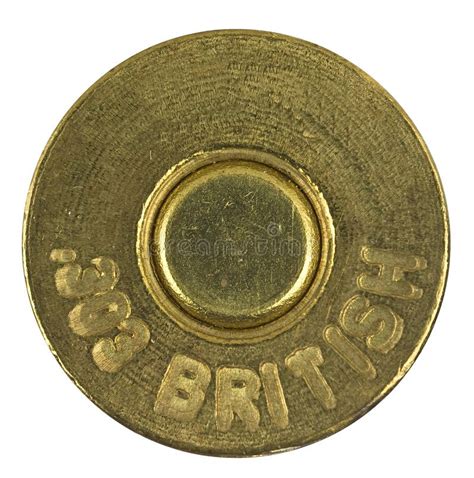 Image result for Bullet Shell Casing