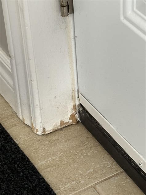 Need advise on door jamb repair : r/DIY