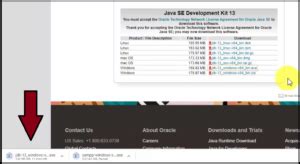 Image result for Java SE 13 Download