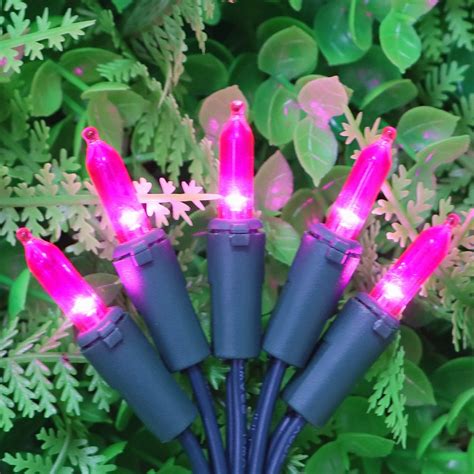 150 Pink Outdoor String Lights, Green Wire LED India | Ubuy