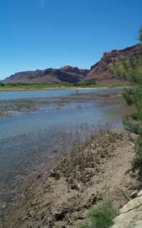 Contacts | Department of Energy