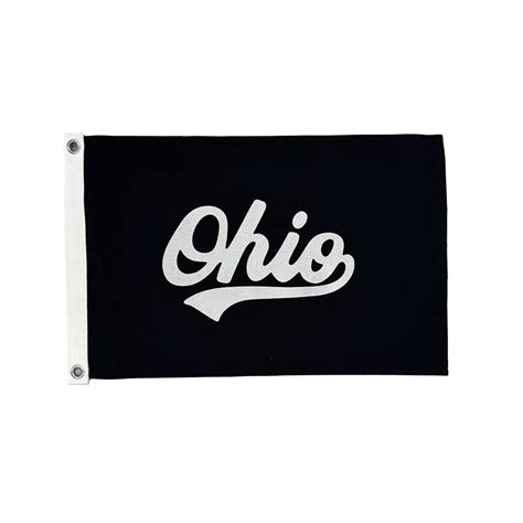 Image result for Ohio State Script Logo