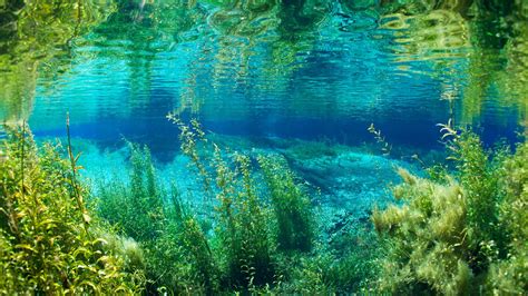 Bing Windos Loge Wallpaper 的图像结果