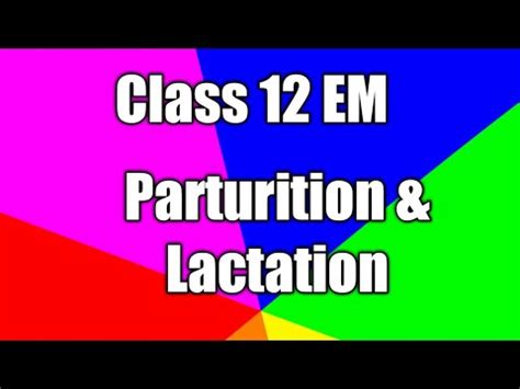 Image result for Parturition Class 12