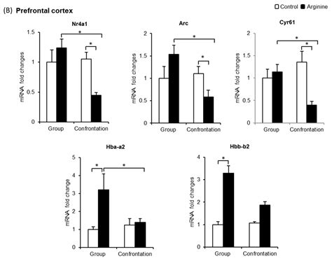 L-Arginine Exerts Excellent Anti-Stress Effects on Stress-Induced ...