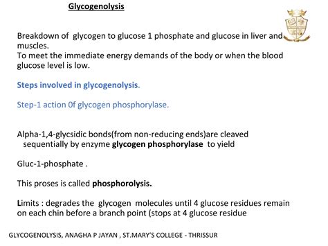 Glucogenolysis | PPTX