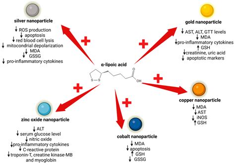Nanotechnological Approaches to Enhance the Potential of α-Lipoic Acid ...